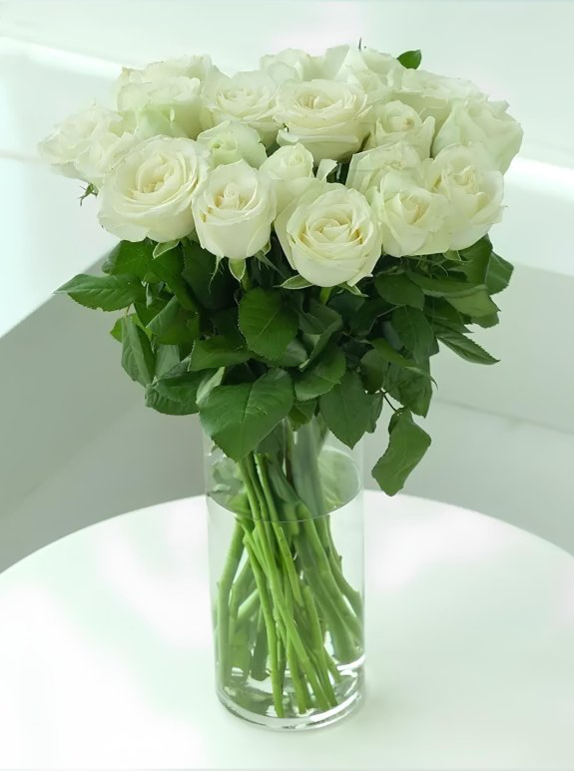 Beyaz Güllü Saksı Buket