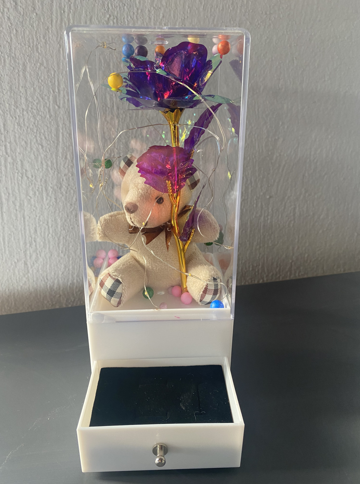 İlikli Sonsuzluk Çiçeği