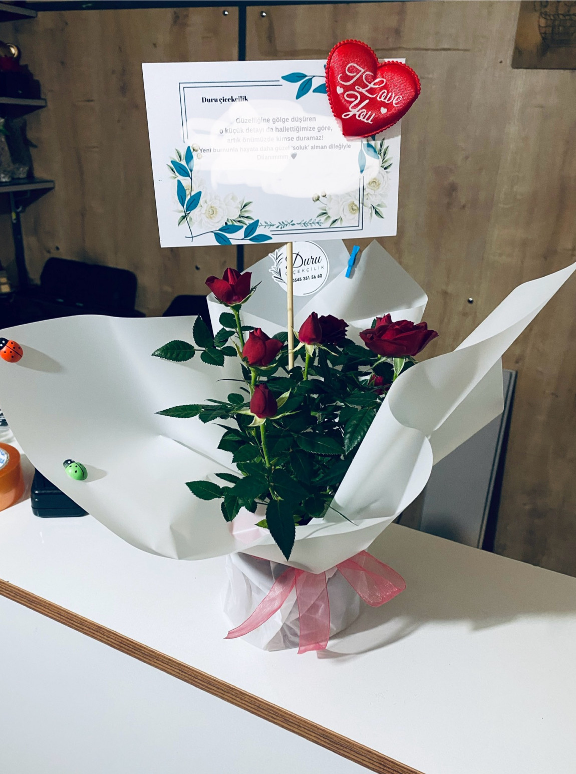 Kırmızı Mini Gül Saksı Çiçeği