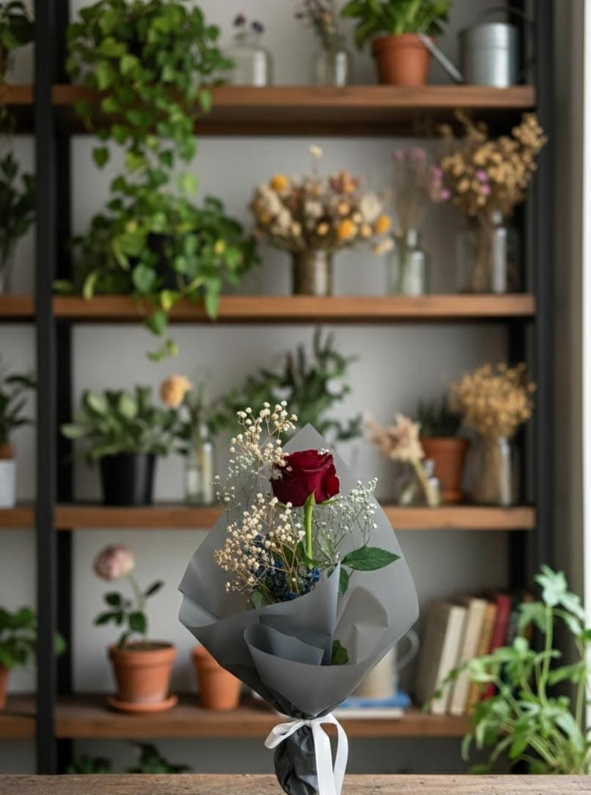 Tekli Canli Gül Buketi