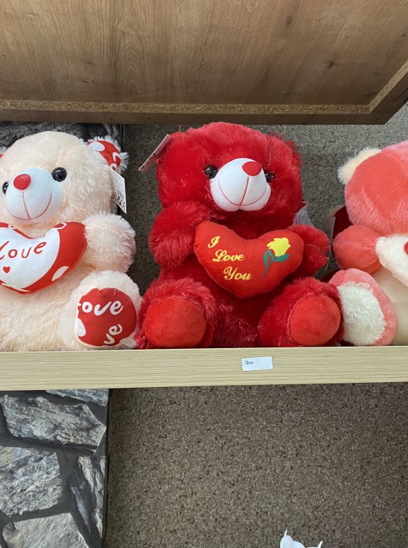 Peluş Ayıcıklar