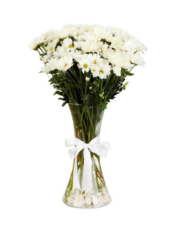 Beyaz papatya vazolu